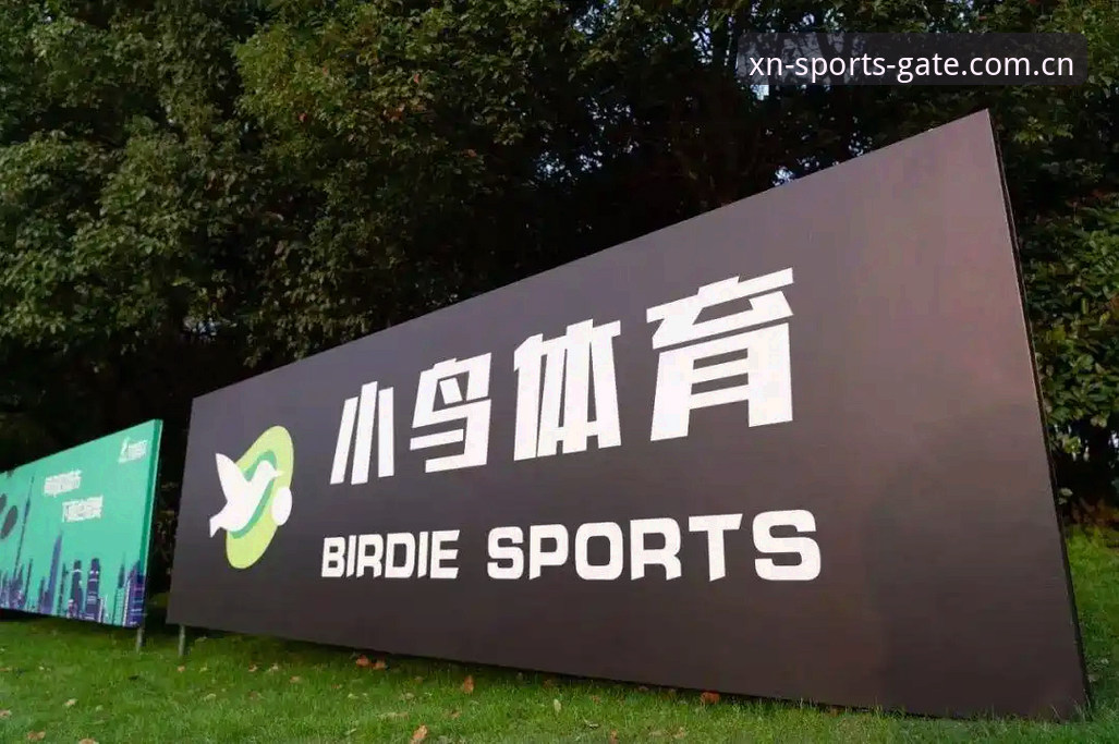 小鸟体育最新版本下载详解：专业赛事投注平台的升级之路